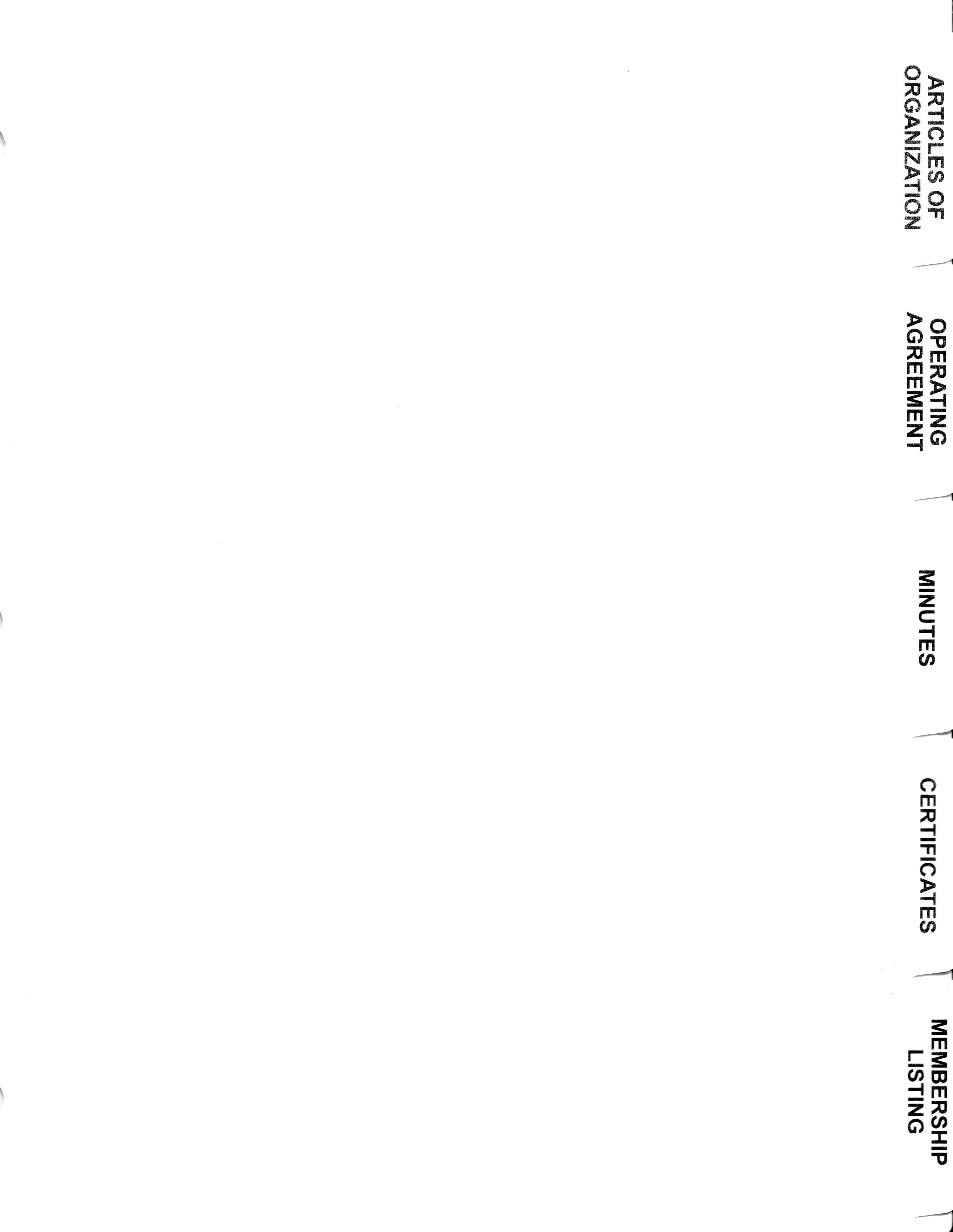 Tab Dividers