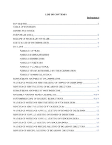 Printed Minutes & Bylaws or Operating Agreement